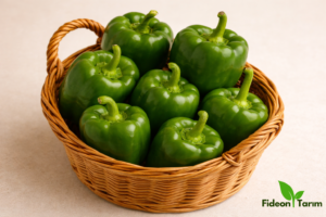 Dolma Biber Fidesi | Bahçe ve Saksıya Uygun – 6 Adet