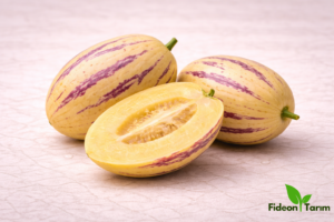 Pepino Fidesi | Bahçe ve Saksıya Uygun - 6 Adet