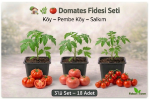 Domates Fidesi Seti | Köy – Pembe Köy – Salkım | 3’lü Set – 18 Adet