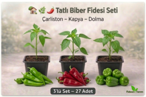 Tatlı Biber Fidesi Seti | Çarliston – Kapya – Dolma | 3’lü Set – 27 Adet