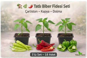 Tatlı Biber Fidesi Seti | Çarliston – Kapya – Dolma | 3’lü Set – 18 Adet