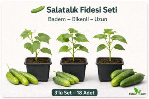 Salatalık Fidesi Seti | Badem – Dikenli – Uzun | 3’lü Set – 18 Adet