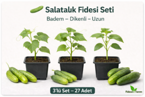 Salatalık Fidesi Seti | Badem – Dikenli – Uzun | 3’lü Set – 27 Adet