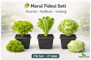 Marul Fidesi Seti | Kıvırcık – Yedikule – Iceberg | 3’lü Set – 27 Adet