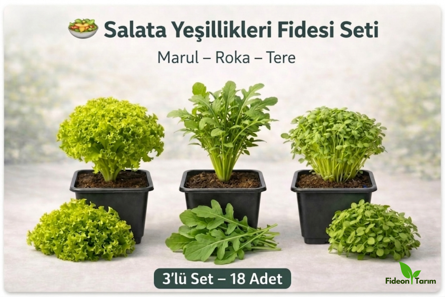 Salata Yeşillikleri Fidesi Seti | Marul – Roka – Tere | 3’lü Set – 18 Adet