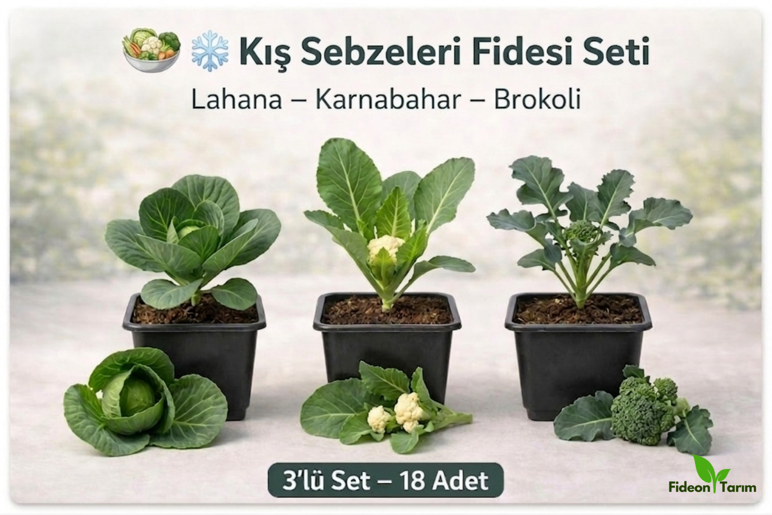 Kış Sebzeleri Fidesi Seti | Lahana – Karnabahar – Brokoli | 3’lü Set –18 Adet