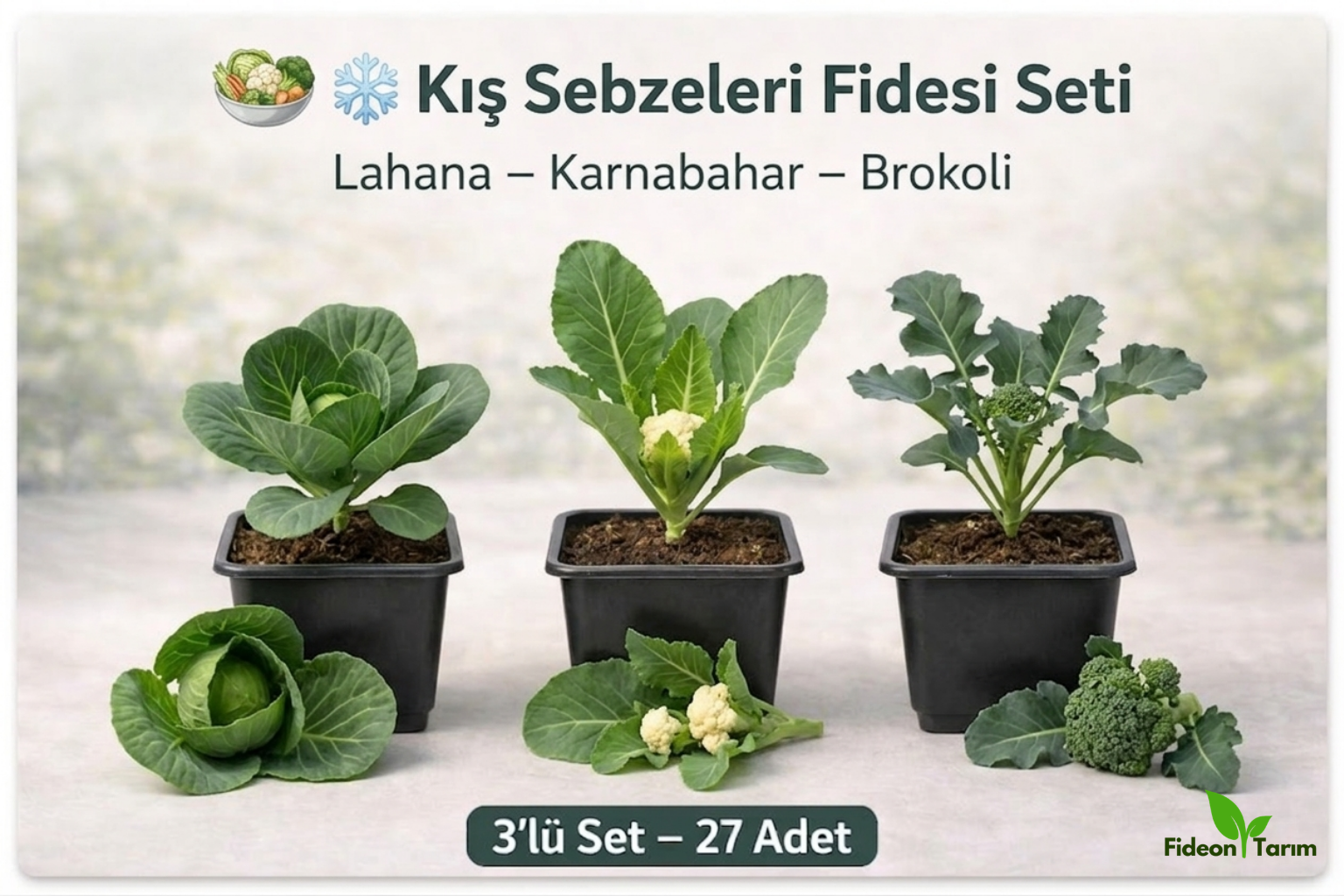 Kış Sebzeleri Fidesi Seti | Lahana – Karnabahar – Brokoli | 3’lü Set – 27 Adet