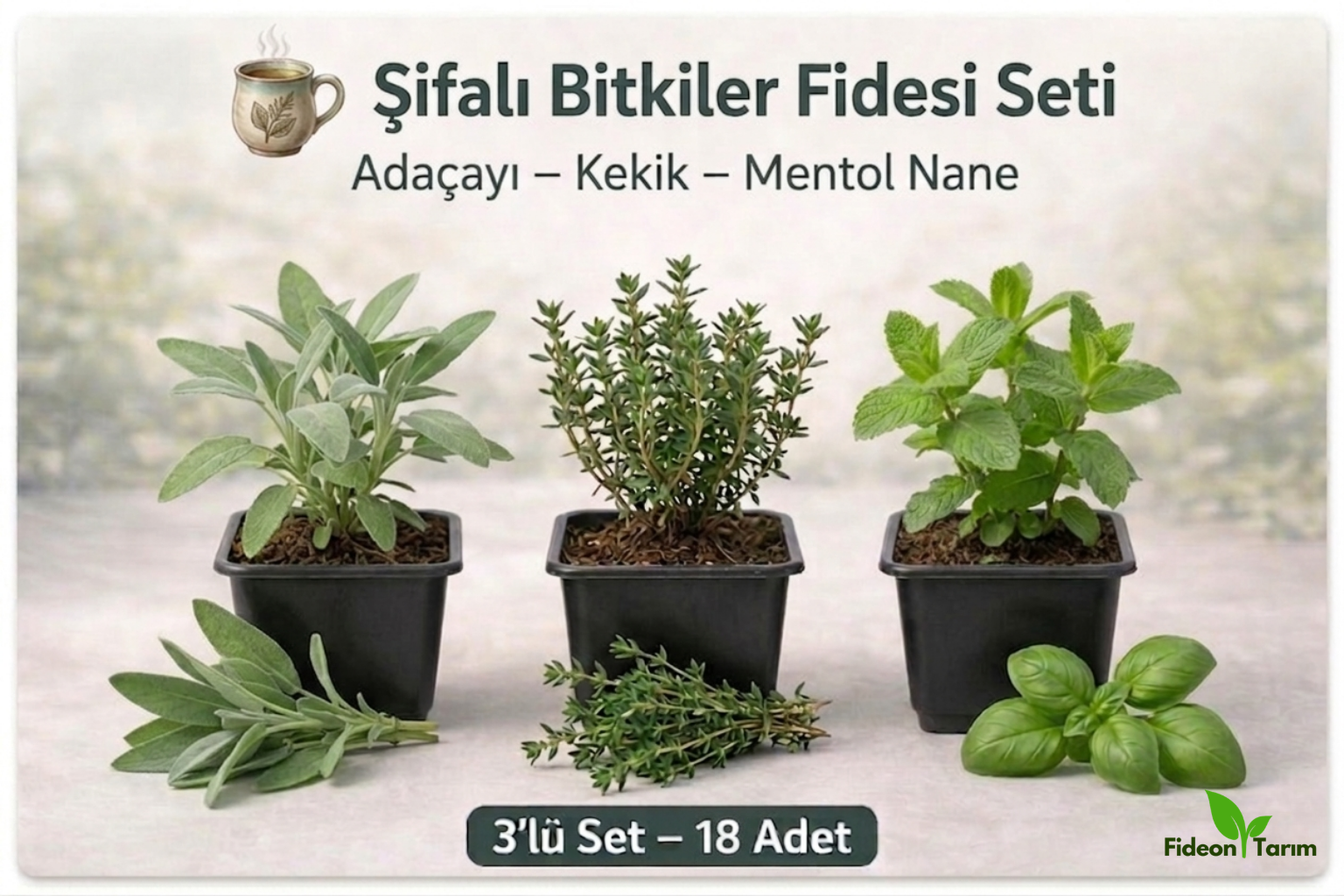 Şifalı Bitkiler Fidesi Seti | Adaçayı – Kekik – Mentol Nane | 3’lü Set – 18 Adet