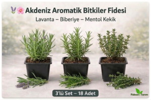 Akdeniz Aromatik Bitkiler Fidesi | Lavanta – Biberiye –Mentol Kekik | 3’lü Set – 18 Adet