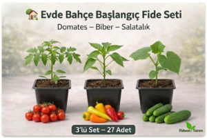 Evde Bahçe Başlangıç Fide Seti | Domates – Biber – Salatalık | 3’lü Set – 27 Adet