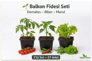 Balkon Fidesi Seti | Domates – Biber – Marul | 3’lü Set – 27 Adet