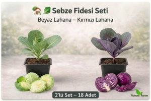 Sebze Fidesi Seti | Beyaz Lahana – Kırmızı Lahana | 2’lü Set – 18 Adet