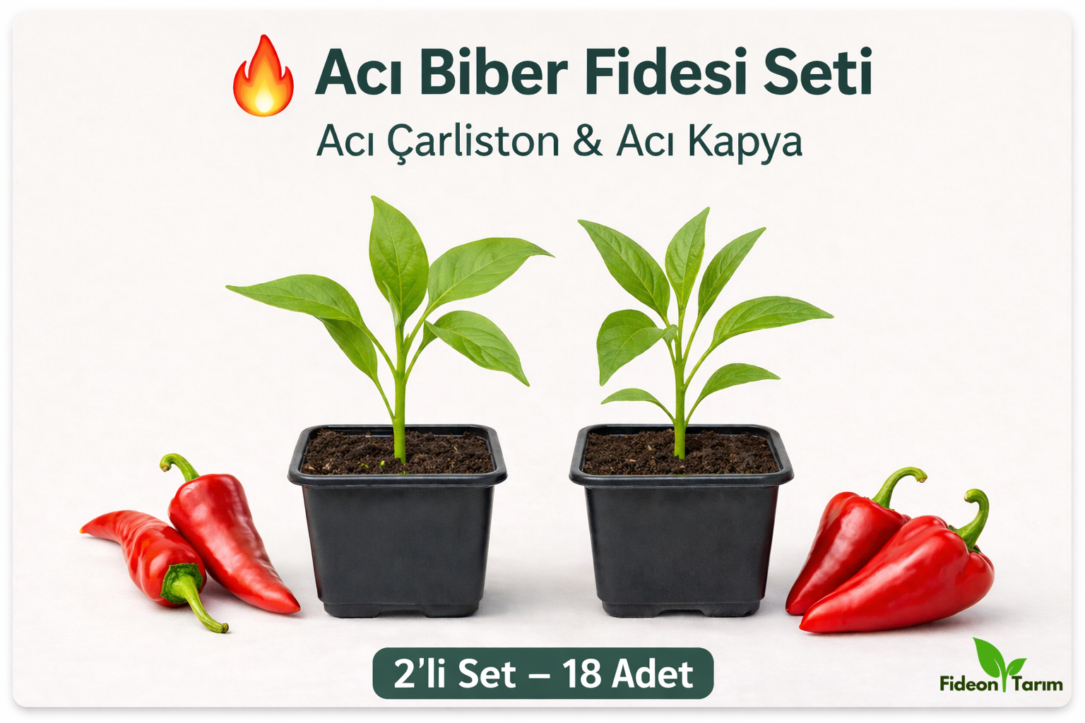 Acı Biber Fidesi Seti | Acı Çarliston & Acı Kapya | 2’li Set – 18 Adet